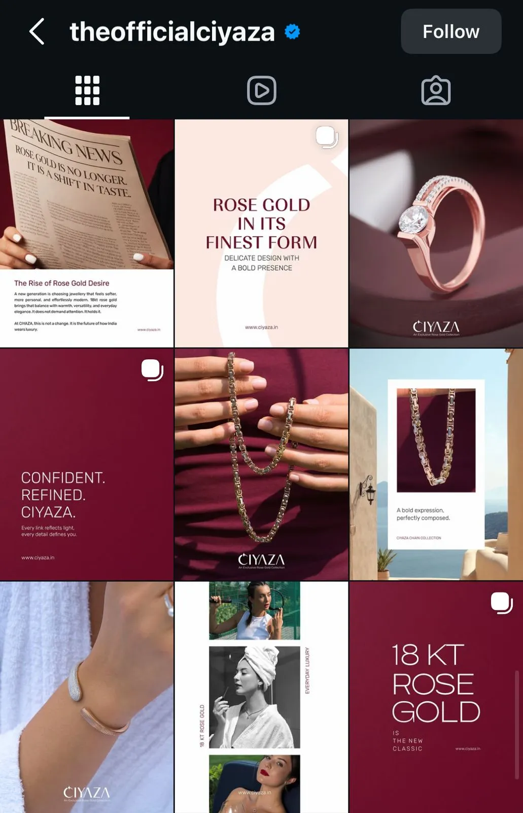 Social media portfolio example