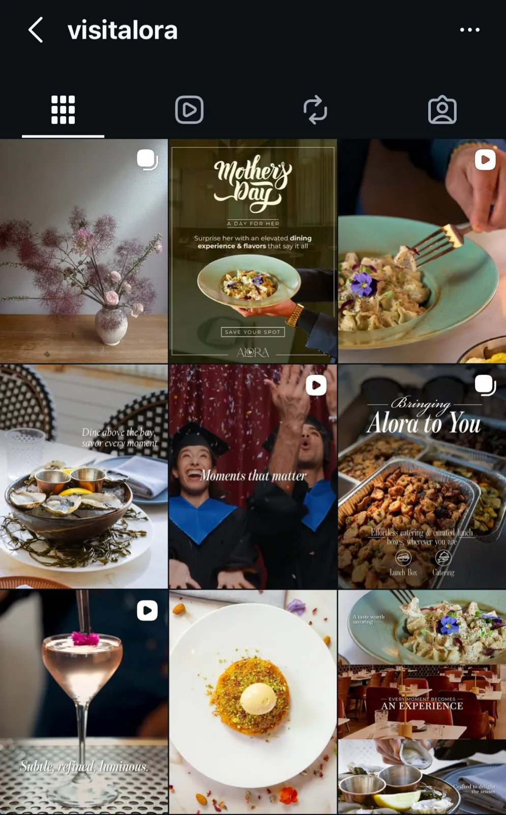 Social media portfolio example